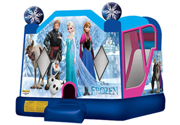 Disney Frozen Combo with Slide