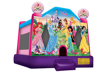 Disney Princess Combo with Slide