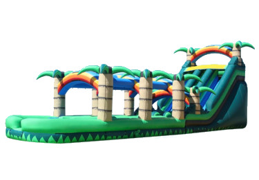 Charleston Inflatable Slides