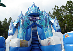 Summerville Frozen Double Slide