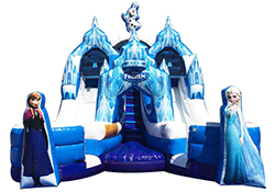 Lowcountry Frozen Slide Inflatable