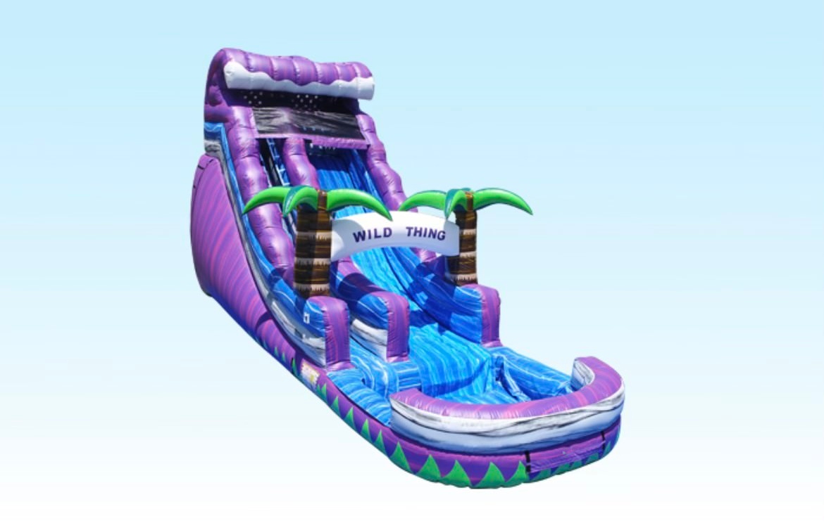 Wild thing Inflatable Slide